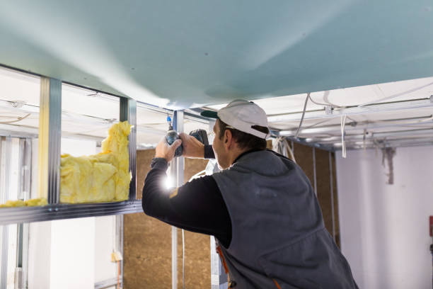 Best Insulation for New Construction  in Welcome, NC
