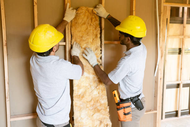 Best Blown-in Insulation  in Welcome, NC