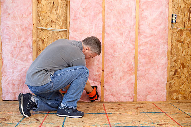 Best Attic Insulation Installation  in Welcome, NC