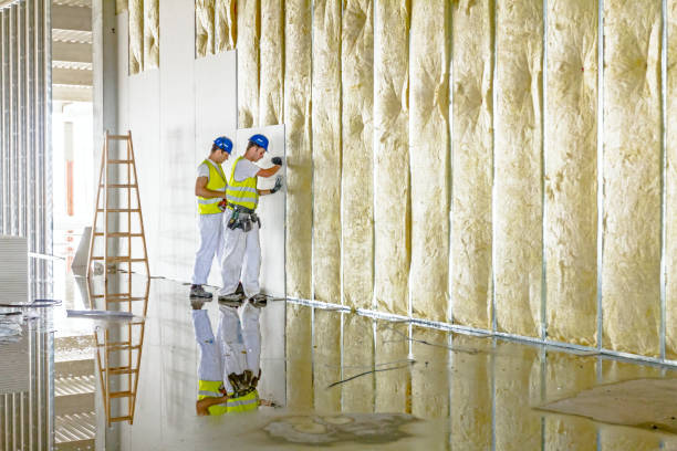 Insulation Repair Services in Welcome, NC